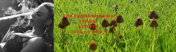 гашишное масло Каменногорск