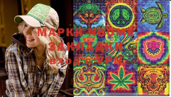 2c-b Алзамай