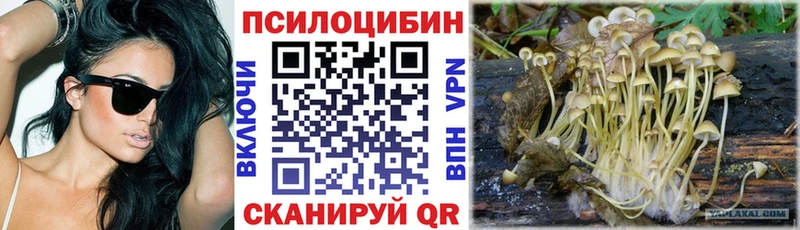 Галлюциногенные грибы мицелий  купить  сайты  Лобня 